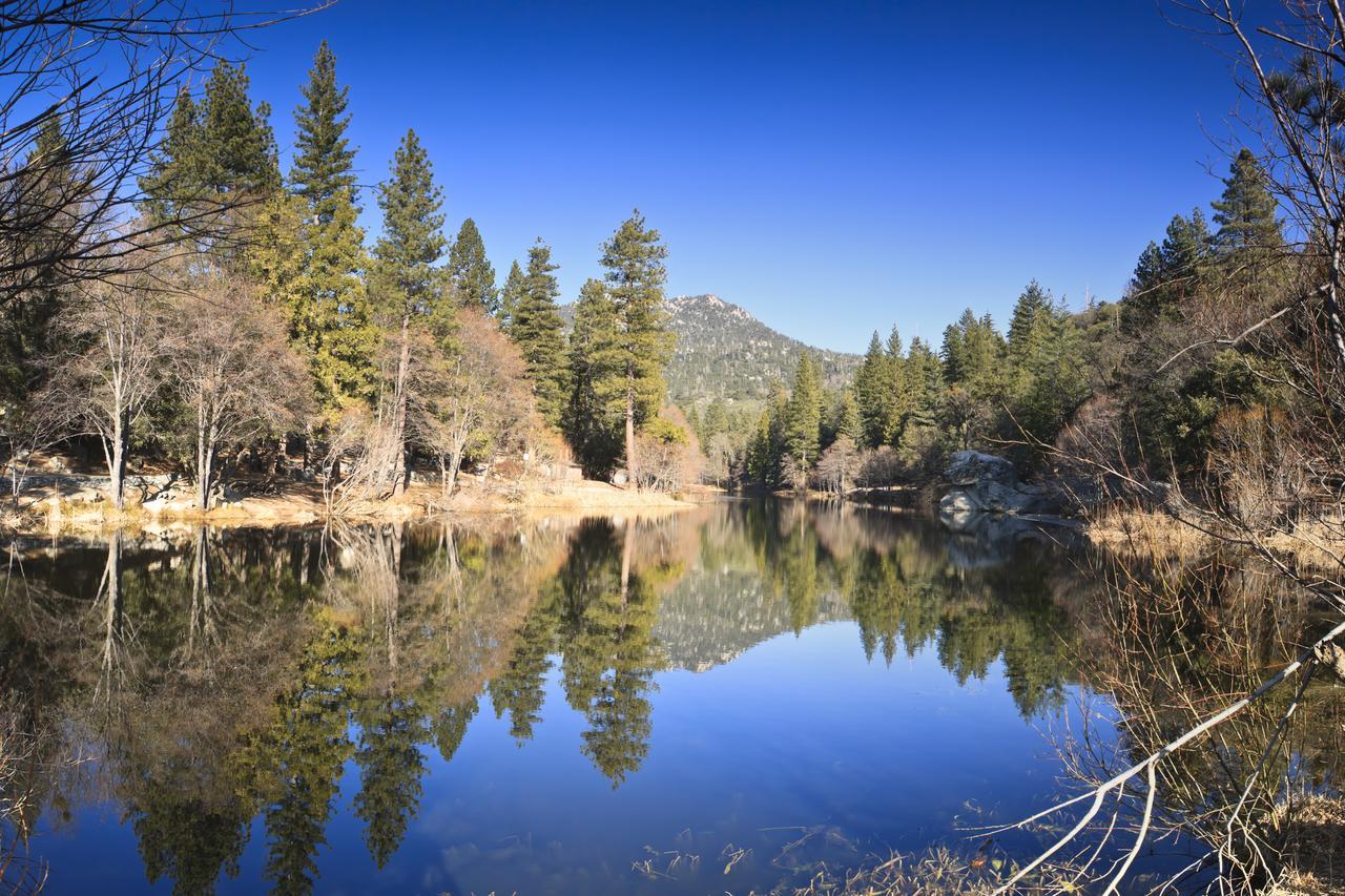 Idyllwild Bunkhouse Villa Екстериор снимка